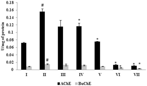 Figure 8. Inhibitory effect of G. acerosa benzene extract on Aβ 25–35 induced increase in acetylcholinesterase (AChE) and butyrylcholinesterase (BuChE) activities in mice brain tissue homogenate. The values are expressed as Mean ± SD. *p < 0.05 [Comparisons were made between groups II (Aβ 25–35 peptide treated) Vs I (CMC treated) & III (Aβ 25–35 peptide +200 mg/kg of extract in CMC), IV (Aβ 25–35 peptide +400 mg/kg of extract in CMC), V (400 mg/kg bw of extract), VI (Aβ 25–35 peptide + donepezil), VII (1 mg/kg bw of donepezil) Vs II (Aβ 25–35 peptide treated)].