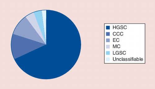 Figure 2. Incidence of ovarian carcinomas by subtype.Approximately 96% of ovarian carcinomas can be diagnosed as one of these five subtypes (HGSC [71% of cases], MC [3.2%], EC [8.3%], CCC [9.5%], LGSC [4.1%]), which have distinct molecular abnormalities and behaviors. These frequencies are based on data from British Columbia, Canada.CCC: Clear cell carcinoma; EC: Endometrioid carcinoma; HGSC: High-grade serous carcinoma; LGSC: Low-grade serous carcinoma; MC: Mucinous carcinoma.Data taken from Citation[36].