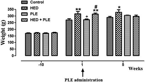 Figure 1. Body weights in all groups during the experiment (*p < 0.05, **p < 0.01 versus control, + p < 0.05 versus HED, #p < 0.05 versus PLE).