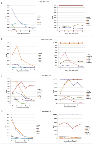 Figure 3. Cytokine secretion by GV1001-specific T-cell clones monitored over 6 d. T-cell clones from immune responders in GV1001 vaccine trials were stimulated with irradiated EBV-transformed cells +/− peptide GV1001. Supernatants from duplicate cultures were collected each day for 6 d and analyzed by Bioplex cytokine assays. Panels (A) and (B) show data from T-cell clones from patient C. Panels (C) and (D) show T-cell clones from patient E. Mean cytokine concentrations (pg/mL) from cultures with peptide are displayed. The controls without peptide had only negligible cytokine levels for all T-cell clones at all time points, below 1% of the levels measured in cultures with peptide. IL-13 was measured at >90,000 pg/mL at all time points for T-cell clones C13, C76, and E 31 (A–C), and at 13,000–20,000 pg/mL for E35 (D). MIP-1b was measured at >30,000 pg/mL at all time points for all four T-cell clones.