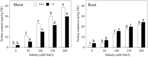 Figure 7. Proline concentrations in the shoots and roots of Kentucky bluegrass (KBG; Poa pratensis L.) and Tall fescue (TF; Festuca arundinacea Schreb.) at different sodium chloride (NaCl) concentrations. Bars indicate standard error (n = 3). Different lower case letters indicate significant differences between means at P = 0.05 according to Duncan's multiple range tests. FW, fresh weight.