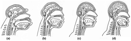 Figure 1. (a) Pan Troglodyte. (b, c) Transition from Pan Troglodyte to Homo sapiens. (d) Homo sapiens (genus and species of man).