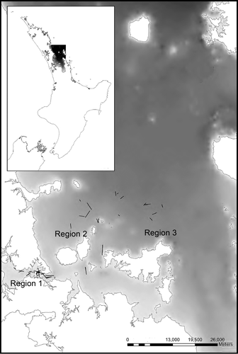 Fig. 1  Map showing the location of trawls conducted within the inner Hauraki Gulf.