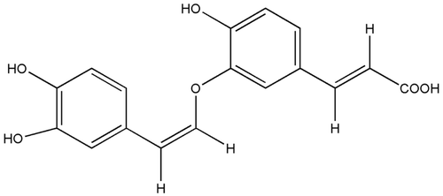 Figure 1  . Structure of the caffeic acid derivative (7′Z)-3-O-(3, 4-dihydroxyphenylethenyl)-caffeic acid (CADP).