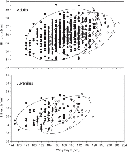 Figure 3. Relationship between the two most dimorphic traits, the wing length, against the bill length in male (black dots) and female (white dots) Great Knots. The ellipses show the 95% prediction intervals for a single observation, given the parameter estimates for the bivariate distribution computed from the data for males (solid line) and females (dashed line).