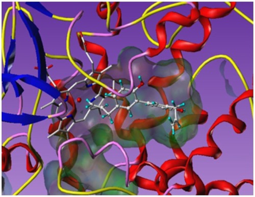 Figure 2 Honokiol (displayed in balls and sticks style) docked into the aromatase active site.