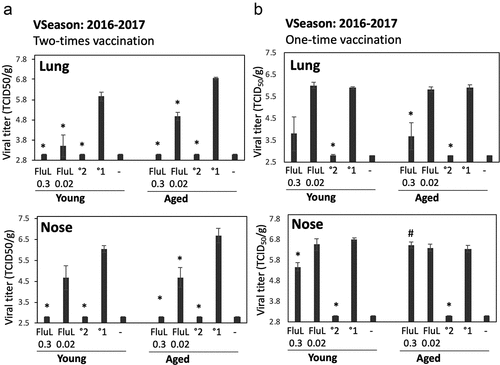 Figure 2. Antiviral efficacy of FluLaval 2016–2017 in the young and aged cotton rats when given as a two-times (a) vs. one-time (b) immunization. (a) Two-times vaccination. Young and aged cotton rats were immunized with the indicated doses of FluLaval (FluL) 2016–2017 and boosted 3 weeks later. After another 3 weeks animals were infected i.n. with influenza A/California (A/Cal) at 107 TCID50 per 100 g animal and sacrificed one day later for analysis of viral load in the lung and nose. Results of viral titration by TCID50 assay (VT) are shown. Control animals were infected i.n. with A/Cal and re-infected 6 weeks later (°2) or mock immunized and infected with A/Cal (°1). (b) One-time vaccination. Young and aged cotton rats were immunized with FluLaval once, infected i.n. with A/Cal 3 weeks later, and sacrificed 1 day after infection. Control animals were mock-immunized with PBS and infected i.n. with A/Cal once (°1) or twice with an interval of 3 weeks (°2) and sacrificed one day after challenge. Unimmunized and uninfected animals were included as additional controls (“-“). Results represent GMT±SE for 5–6 animals per group. *p < .05 when compared to primary infection of the same age animals, #p < .05 when compared to the same treatment, opposite age