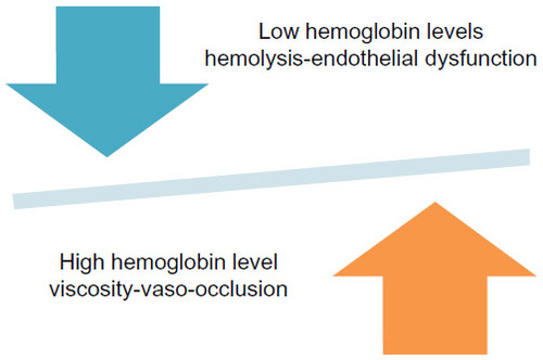 Figure 3 Competing effects of hemoglobin in sickle cell disease pathophysiology.