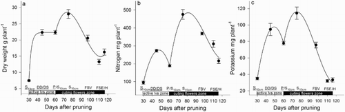 Figure 5. Dry weight (a), N (b) and K (c) accumulated in the basal break of roses during the development of the zone of active leaves and zone of cutting flowers, including the harvest. DD = debudding of the active leaves zone, DS = deshooting of the active leaves zone, P = pinch of the active leaves zone, S10 cm = shoots of the cutting flowers zone with 10 cm length, S15 cm = shoots of the cutting flowers zone with 15 cm length, FBV = flower buds visible in the cutting flowers zone, FSE = flower stem elongation in the cutting flowers zone, H = harvest of flower. Bars represent the standard error of the mean (n = 5).