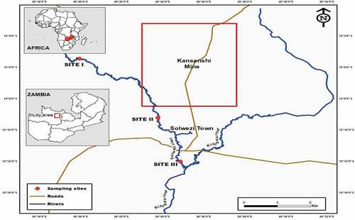 Figure 1. Study area showing sampling points on the Solwezi River.