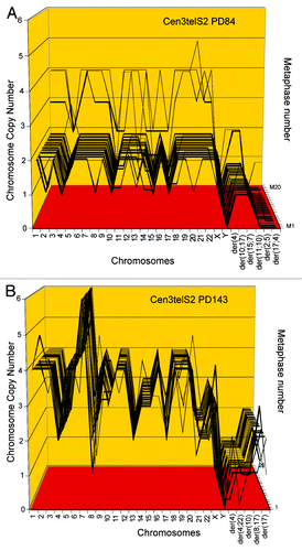 Figure 8. Karyotype arrays of the immortal, tumorigenic clones cen3telS2 PD84 (A) and a sub-clone cen3telS2 PD143 (B) based on data of Table 5. The cen3telS2 PD84 clone arose spontaneously in an independently growing preneoplastic aliquot of the cen3tel mass culture (from which also cen3tel PD166 originated) 84 generations after transfection with overexpressed telomerase. Upon further cultivation for 59 generations, the cen3telS2 PD84 clone was supplanted by a more transformed and faster growing variant, cen3telS2 PD143. Comparative karyotype arrays revealed that PD143 is a near-tetraploid, clonal variant of cene3teS2 PD84 (Table 5).