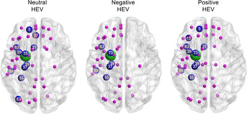 Figure 1 Differences in primary and secondary nodal interconnections of the left amygdala in participants with neutral, negative or positive hemispheric emotional valences (HEV). The amygdala is illustrated, as eigenvector centrality of this node emerged as the most significant predictor of HEV. The green circle identifies the location of the amygdala, blue circles indicate primary interconnections, and magenta circles indicate secondary interconnections. Numbers correspond to regions in the automated anatomical atlas. Regions: 5 – superior frontal gyrus, orbital part; 15 – inferior frontal gyrus, orbital part; 21 – subgenual cingulate/olfactory cortex; 27 – gyrus rectus; 29 – insula; 37 – hippocampus; 39 – parahippocampal gyrus; 53 – inferior occipital gyrus; 55 – fusiform gyrus; 73 – putamen; 83 – superior temporal gyrus; 89 – inferior temporal gyrus.