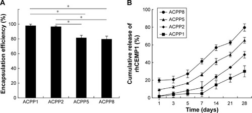 Figure 3 rhCEMP1 EE and release profile.Notes: (A) The EE was correlated reciprocally with the concentration of rhCEMP1 inside ACP/PEG. (B) Cumulative release profiles of rhCEMP1 from the rhCEMP1/ACP/PEG went through a low burst release on the first day, followed by the continuously sustained release up to 4 weeks. The results are presented as means ± standard deviation (n=3); *P<0.05.Abbreviations: ACP, amorphous calcium phosphate; ACPP1, 1% (w/w) rhCEMP1 in ACP/PEG; ACPP2, 2% (w/w) rhCEMP1 in ACP/PEG; ACPP5, 5% (w/w) rhCEMP1 in ACP/PEG; ACPP8, 8% (w/w) rhCEMP1 in ACP/PEG; EE, encapsulation efficiency; PEG, poly(ethylene glycol); rhCEMP1, recombinant human cementum protein 1.