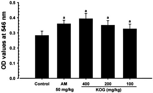 Figure 5. Representative histological images of intrapulmonary secondary bronchus during expectorant assay. (A) Intact vehicle control: Vehicle (distilled water) treated intact control mice. (B) AM: AM 250 mg/kg administered mice. (C) AR100: KOG 100 mg/kg administered mice. (D) AR200: KOG 200 mg/kg administered mice. (E) AR400: KOG 400 mg/kg administered mice. KOG: Kyeongok-go, Traditional mixed herbal formulation. AM: Ambroxol; PAS: Periodic acid Schiff stain; LU: Lumen; EP: Epithelium. Scale bars = 60 µm.