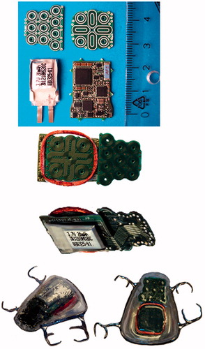 Figure 2. Overview of the ITI parts. Top: The Two 10-layer PCB constituting the key pad (left) and the mouse pad (right), the battery and the PCB for the electronics. The scale is in centimeters. Middle: Top middle: The assembled ITI parts, showing the charger coil and the sensor PCB. Bottom middle: The battery and one of the flex prints used to connect the parts. Bottom: The fully embedded ITI dental appliance.