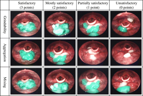 Fig. 2. Example of grindability, aggregation, and mixing evaluated by video-endoscopy.