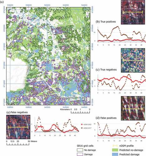 Figure 4. Classified windthrow map of the study area on the SR16 grid using the non-stratified thresholding classifier (a). Examples of correctly classified and misclassified cells, including respective nDSM profiles extracted from the reference and photogrammetric nDSMs (b) – (e). Axes in (b) – (e) are in m, blue dotted guidelines in indicate ground surface where the photogrammetric nDSM has negative elevations. Coordinates are given in ETRS89 UTM 32N. (Satellite imagery © 2023 Maxar Technologies).