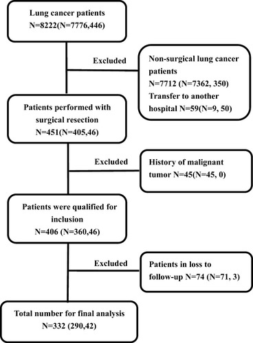 Figure 1 Flow of the retrospective study.