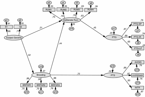 Fig. 1 Hypothesized model 1. (See variable names in Table 2).