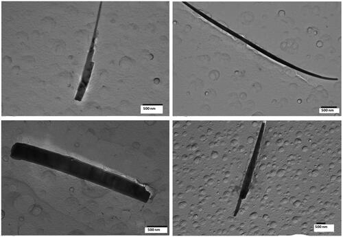 Figure 8. Representative TEM images of LA 2007 fibers – bulk test material. (Scale bar is 500 nm for all photos.)