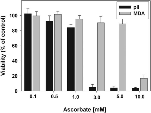 Figure 2. Sensitivity of pII and MDA-MB-231 cell lines to ascorbate.Note: Cells were treated with 0.1–10 mM ascorbate for 24 h. After the treatment, the medium was removed, cells were washed gently with PBS and 100 μL of fresh medium was added to each well. Viability was determined by the MTT assay. Data are presented as mean ± S.D.