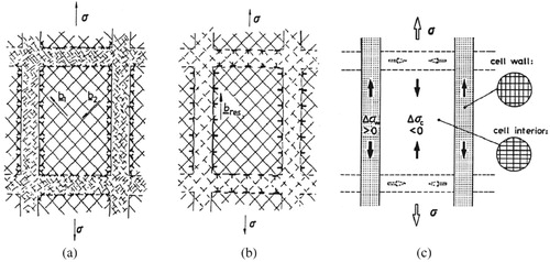 Figure 16. Schematic composite model of symmetrical multiple slip in [001]-orientated fcc crystal. (a) deformation on intersecting symmetrical slip systems, leading to (b) the accumulation of pairs of interfacial GNDs bordering the vertical dislocation walls. (c) Back stress in the cell interior and forward stress in the cell walls [Citation232,Citation233].