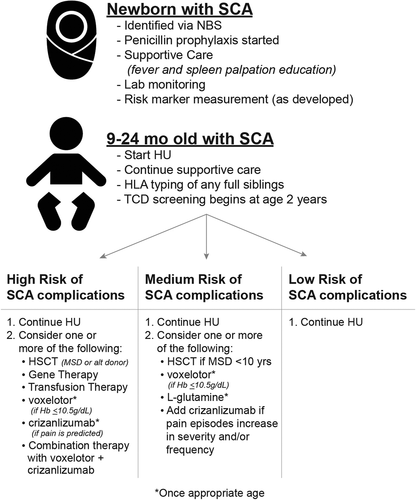 Figure 2. Proposed Risk Based Therapy for Sickle Cell Anemia. SCA treatment intensity should vary with risk level, once a validated severity risk marker is available. Hydroxyurea (HU) should be considered standard of care for all individuals of SCA, regardless of risk category, as well as supportive care measures like fever education and antibiotic prophylaxis. High risk individuals should proceed to MSD HSCT early in life to minimize SCA complications as well as HSCT-related complications like graft versus host disease. If MSD HSCT is not available, then experimental treatment options like alternative donor HSCT or gene therapy should be discussed. Once appropriate age is reached, then other therapies could be considered. Medium risk SCA could be treated with MSD HSCT, but the risk-benefit ratio is likely unfavorable for alternative donor HSCT. Again, other therapies could be considered once the approved age is attained. Children at low risk for SCA should continue HU