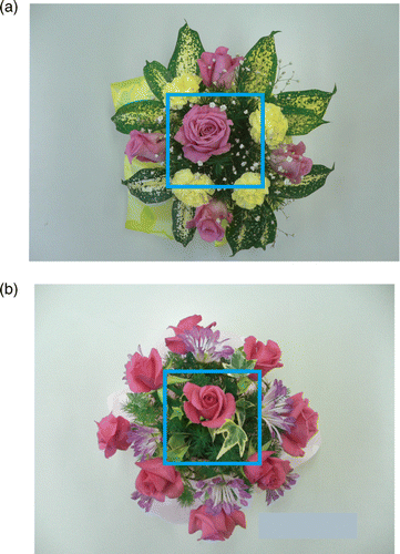 Figure 2. Sample of floral arrangements made by the same participant in the second (a) and fourth (b) day sessions. According to the instruction sheets, participants were required to arrange four carnations (a) and roses (b) in a square shape like the line. Although the carnations were not arranged in a square shape (a), the roses were arranged in good order (b). [To view this figure in colour, please visit the online version of this Journal.]