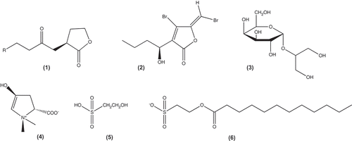 Figs 1–6. Molecular structures of acyl homoserine lactones and quorum sensing inhibitors isolated from marine algae. Fig. 1. General structure of acyl homoserine lactones. Fig. 2. Halogenated furanones. Fig. 3. Floridoside. Fig. 4. Betonicine. Fig. 5. Isethionic acid. Fig. 6. 2-dodecanoyloxyethanesulfonate. Figure adapted from Saurav et al. (Citation2017).