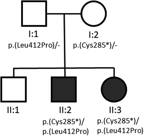 Figure 4. Family pedigree showing two unaffected parents, one unaffected child, and two affected children. Shading represents presence of the nanophthalmos phenotype.