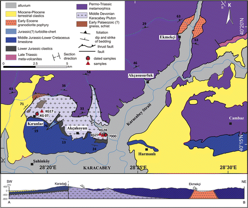 Figure 3. Geology of the Karacabey region (modified from Ergül et al., Citation1986). Note the uneven trace of the contact between Permo-Triassic metamorphic rocks and the Karacabey Pluton, which is interpreted by us as a thrust.