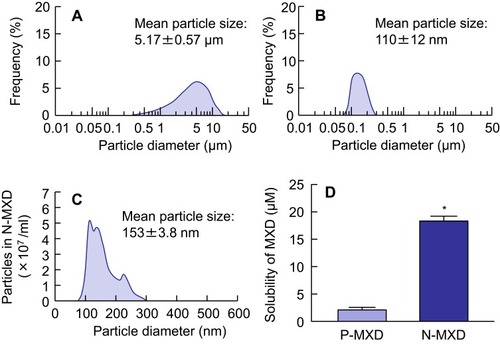 Figure 1 Particle size frequencies and solubility of P-MXD and N-MXD.Notes: (A) and (B) Particle size frequencies for P-MXD (A) and N-MXD by SALD-71000. (C) Particle size frequencies for N-MXD by NANOSIGHT LM10. (D) Solubility of MXD in P-MXD and N-MXD. n=6. *P<0.05 vs P-MXD. The particle size of milled MXD was in the nano range (approximately 90 nm–300 nm), and the ratio of solution- and solid-MXD was approximately 2:3 in N-MXD.Abbreviations: MXD, minoxidil; N-MXD, formulation based on minoxidil nanoparticles; P-MXD, formulation based on minoxidil powder.