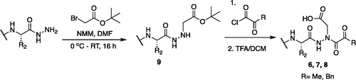 Figure 6. Synthesis of the aza-aspartate caspase inhibitors.