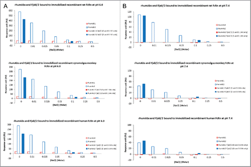 Figure 5. Binding response levels of the full-length molecules and F(ab’)2 of rhumAbs to Immobilized recombinant rat, cynomolgus monkey, and human FcRn in the presence of additional salt (0–0.5 M) in running buffers (PBS, 0.05% polysorbate 20, pH 6.0 or pH 7.4) (A) at acidic pH (pH = 6.0); (B) at physiological pH (pH = 7.4). F(ab’)2 of rhumAbs were only tested only in PBS buffers with and without additional 0.1 M NaCl. Concentration of tested the full-length molecules and F(ab’)2 of rhumAb samples is 5 µM. The in-line reference subtracted response was corrected by buffer sample, and was reported 5 seconds before the end of each injection.