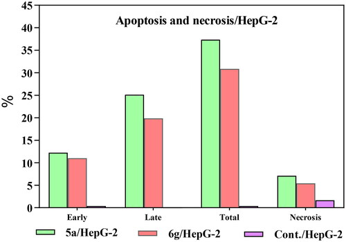 Figure 6. Early, late, total apoptosis, and necrosis induced by compounds 5a and 6g in HepG-2 cells compared to control.