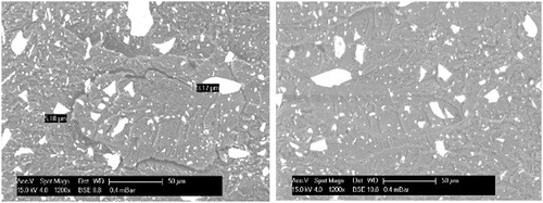 Figure 2. SEM pictures of a 20 wt% composite in a mirror configuration. The two parts of same broken particles can be seen on both sides.