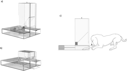 Figure 1. Automated food-reaching test (a); manual food-reaching test (b) for dogs; and a dog performing the automated food-reaching test (c).