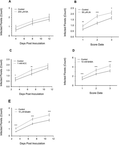 Figure 3. The change in number of F. graminearum-infected florets after pre-application of 200 µM SA (A), 50 µM JA (B), 1 mM ACC (C), 10 mM BABA, (D) and 10 µM trans-Zeatin (E) on Bd3-1. Each data point is the mean number of florets infected ± SE from one (A), two (B, C, E) or three (D) independent experiments. Score Date numbers (4-day intervals between each number) for B and D are the combined dpi from different experiments. Significance levels: * p < .05, ** p < .01, *** p < .001 compared to control.