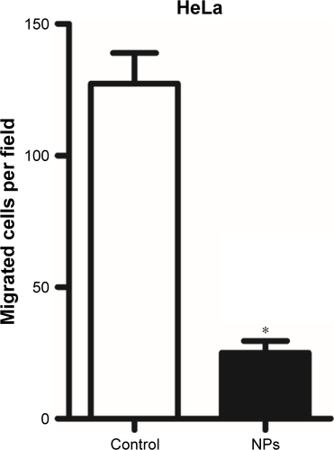 Figure S5 The number of migrated cells per field was calculated and statistically analyzed. Significant differences between the control group and the CuS@SiO2 NP group were detected in both cancer cell lines (*P<0.05).Abbreviation: NP, nanoparticle.