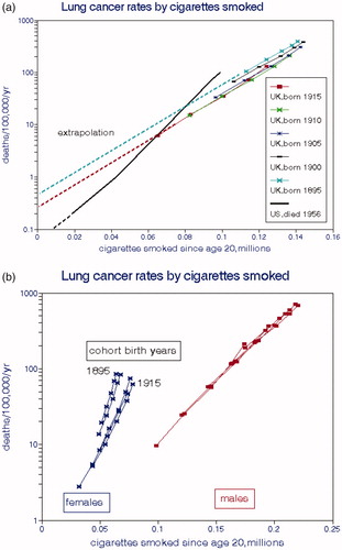 Figure 10. Lung cancer mortality rates as a function of cumulative cigarettes smoked. (a) UK data are averages of male and female cohort data from Doll (Citation1978); US data are from Haenszel and Shimkin (Citation1956). (b) separate analyses by gender.