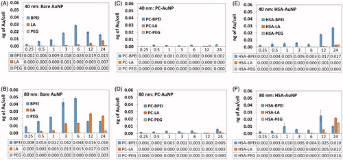 Figure 2. Time-dependent intracellular uptake of (A) 40 nm bare AuNP, (B) 80 nm bare AuNP, (C) 40 nm PC-AuNP, (D) 80 nm PC-AuNP, (E) 40 nm HSA-AuNP, and (F) 80 nm HSA-AuNP at 0.25, 0.5, 1, 3, 6, 12 and 24 h in human umbilical vein endothelial cells. Data represented as mean ± SD (n = 3). Bare: no corona; AuNP: gold nanoparticles; PC: plasma corona; HSA: human serum albumin; BPEI: branched polyethyleneimine; LA: lipoic acid; PEG: polyethylene glycol.