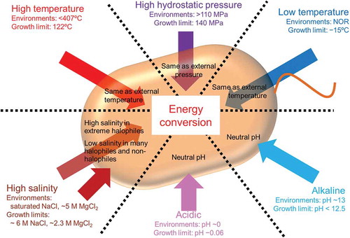 Figure 1. Influences of extreme physicochemical stress on biological energy conversion.Each arrow represents each physicochemical parameter. Each value of “Environments” and “Growth limit” represents maximal value observed in each extreme environment where liquid water exists and upper or lower limit value which each extremophile can grow, respectively; NOR represents non official record.