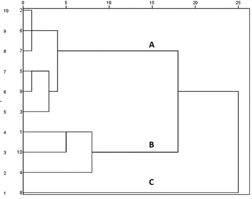 Figure 4. HCA of the extracts of the aerial parts from Atractylodes lancea.