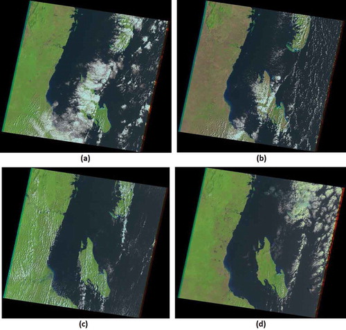 Figure 1. Four Landsat images of the same area in Tanzania, all acquired in January but in different years: (a) 26 January 1987, (b) 21 January 1997, (c) 24 January 1998, (d) 14 January 2003. False colour images, with Landsat bands SWIR2 (2220 nm), NIR (830 nm) and red (655 nm) shown as red, green and blue, respectively.