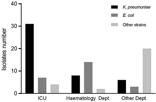 Figure 2 Isolate CRE strains distribution.