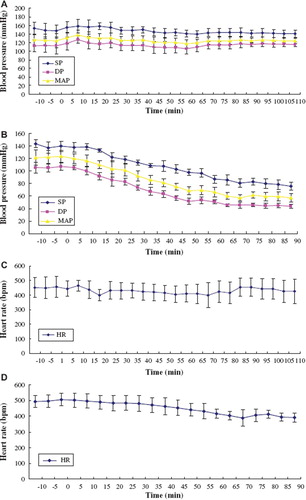 Figure 2. Blood pressure and heart rate in rat exchange transfusion model. Mean arterial blood pressure (MAP), systolic blood pressure (SP), diastolic blood pressure (DP), and heart rate (HR) were monitored every 5 min throughout the experiment. A: changes of MAP, SP, DP in pPolyHb group; B: changes of MAP, SP, DP in hetastarch group; C: changes of HR in pPolyHb group; D: changes of HR in hetastarch group.