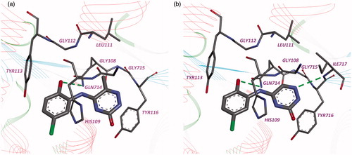 Figure 2. Binding modes of compounds 2 (a) and 3 (b) in the active site of LeuRS M. tuberculosis. Hydrogen bonds are shown by the green dotted lines.