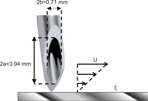 Figure 2 View of the elliptical aperture of the needle with a representation of the velocity profile in the immediate vicinity of the Port base.