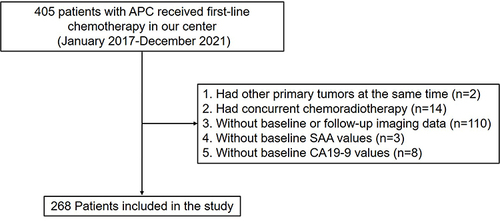 Figure 1 Flow chart of the patient selection process.