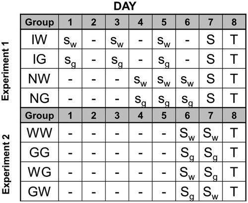 Figure 1. Experimental Timeline. In the first experiment, groups were given three moderate shock stress sessions with interpolated days of rest (I) or on consecutive days with no rest (N). Following each day of moderate shock stress, groups were given access to water (W) or glucose (G). In the second experiment, all groups received two severe shock stress sessions. Groups either received water following both stressors (WW), glucose following both stressors (GG), water following the first stressor and glucose the second (WG), or glucose following the first stressor and water the second (GW). S: 100 shock stressor, s: 25 shock stressor, T: shuttle-box testing, w: water was given after stress, g: Glucose was given after stress.